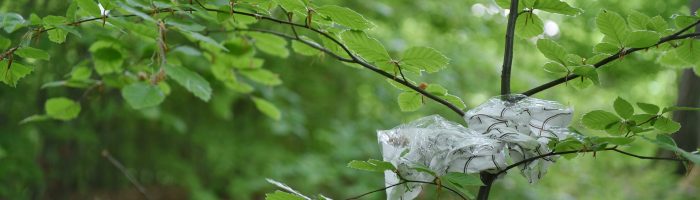 Plastik og klima - plastic change