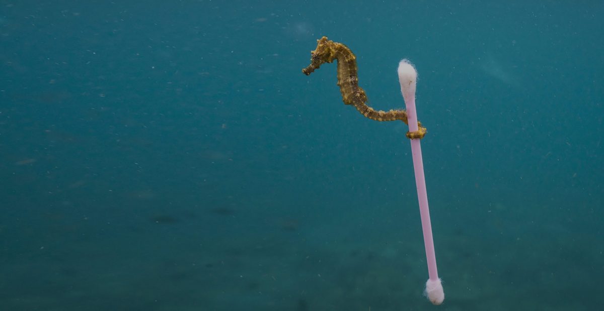 Plastikskolen korte film om plastik Plastic Change Plastic Change