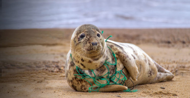 Plastic Change fjerner op mod ét ton spøgelsesnet